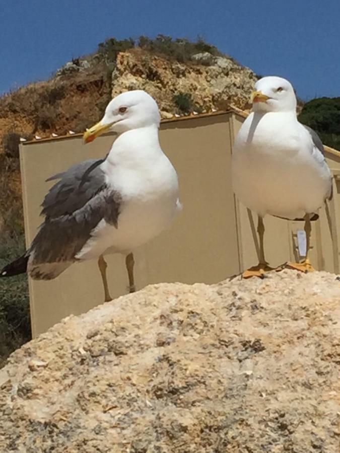 Apartment In Algarve,Vilamoura Bagian luar foto